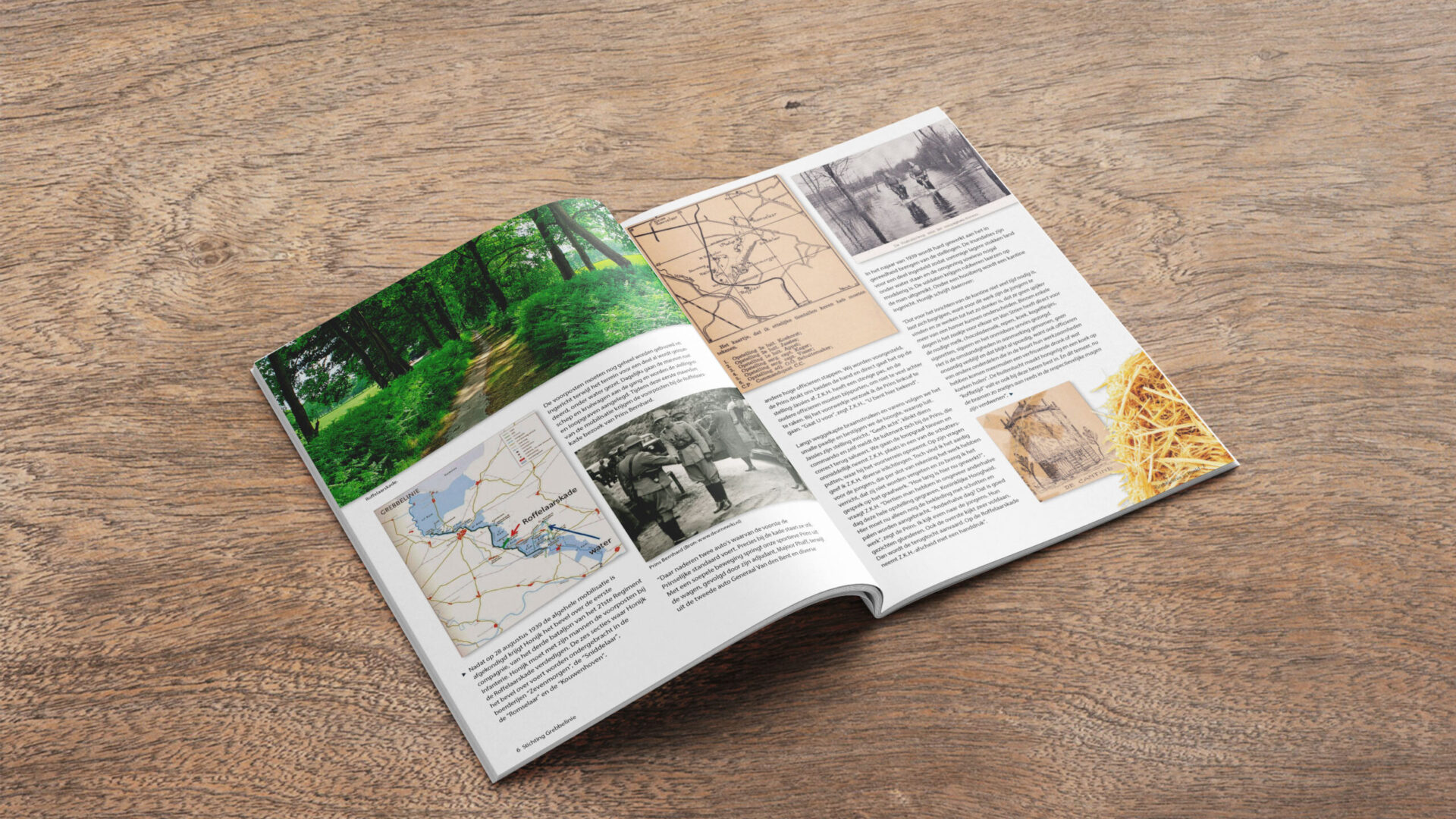 Visual-concept-GiB-45-2